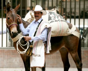 Carlos Castaneda, who was named Colombia's new Juan Valdez, poses with "Conchita" during news conference in Bogota