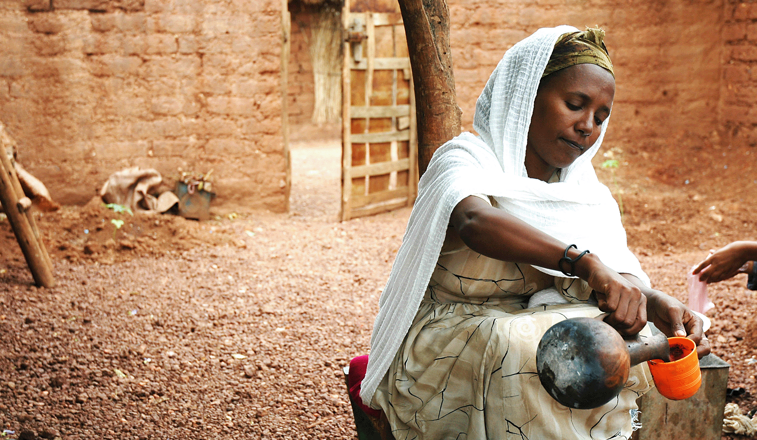 Ethiopian Coffee Brands