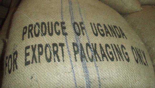 Uganda coffee exports