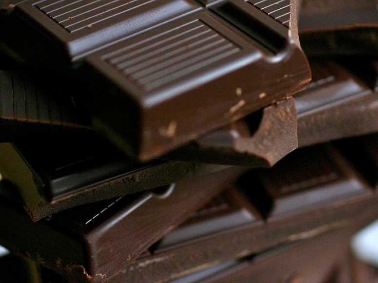 chocolate sustainability
