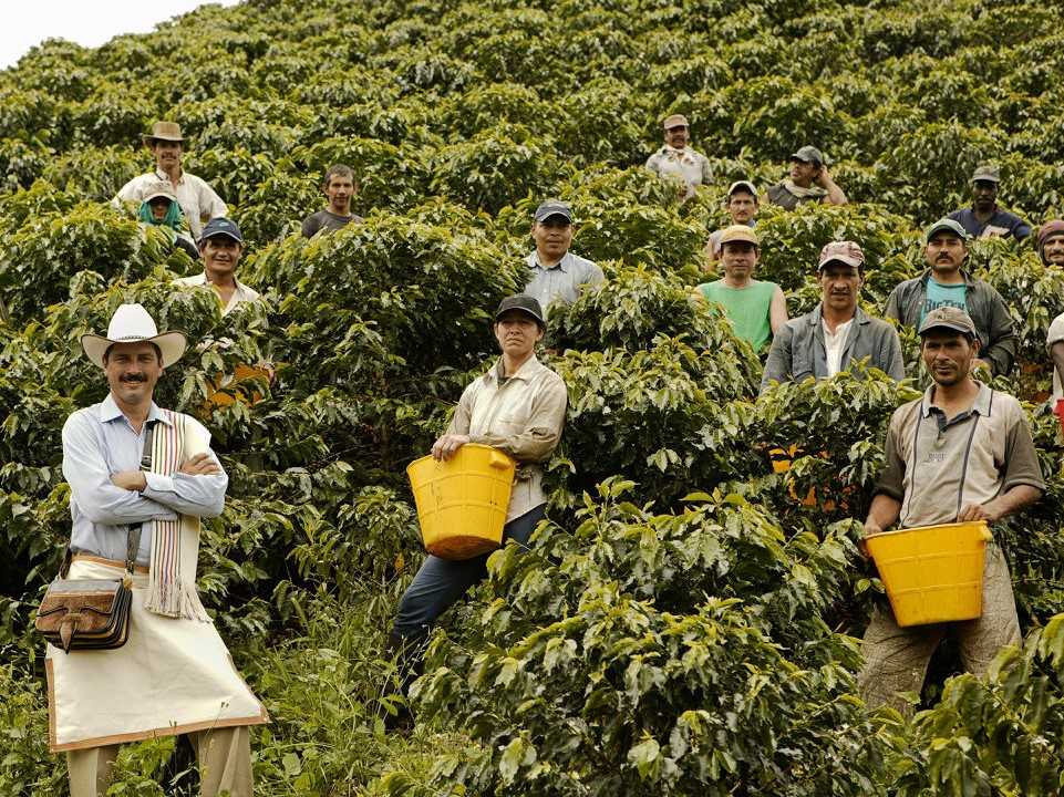 Inside the Colombian Coffee Plantation That's Run Entirely on Water -  Comunicaffe International