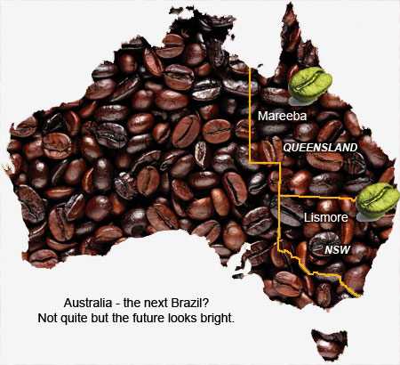 australian coffee