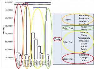 example scaa