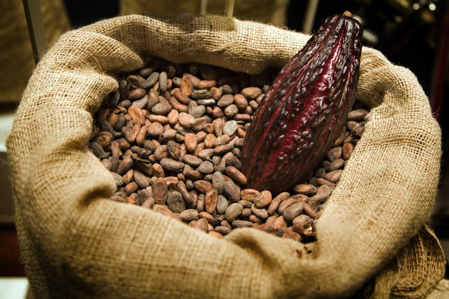London Cocoa hits 39year high Comunicaffe International
