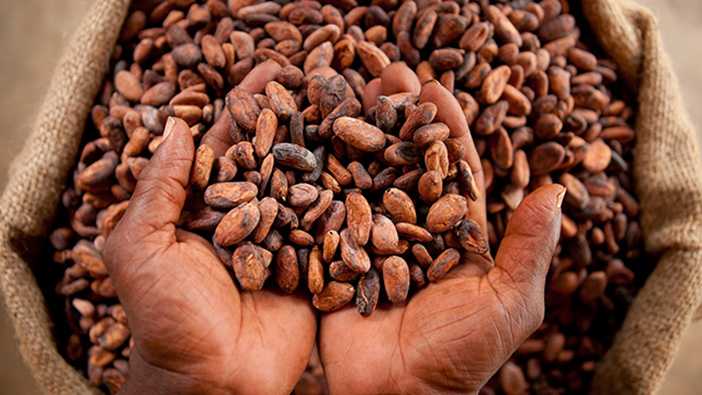 French sustainable cocoa initiative