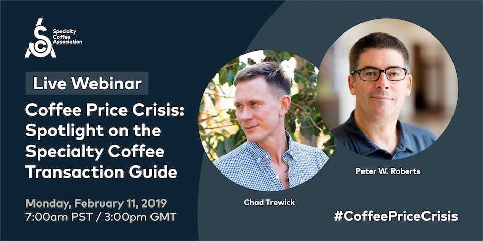 Specialty Coffee Association webinar