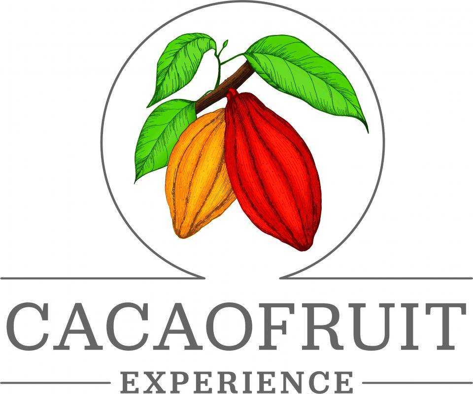Cacaofruit