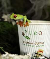 Puro Coffee