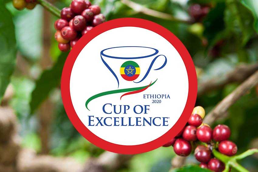 Ethiopia Cup of Excellence