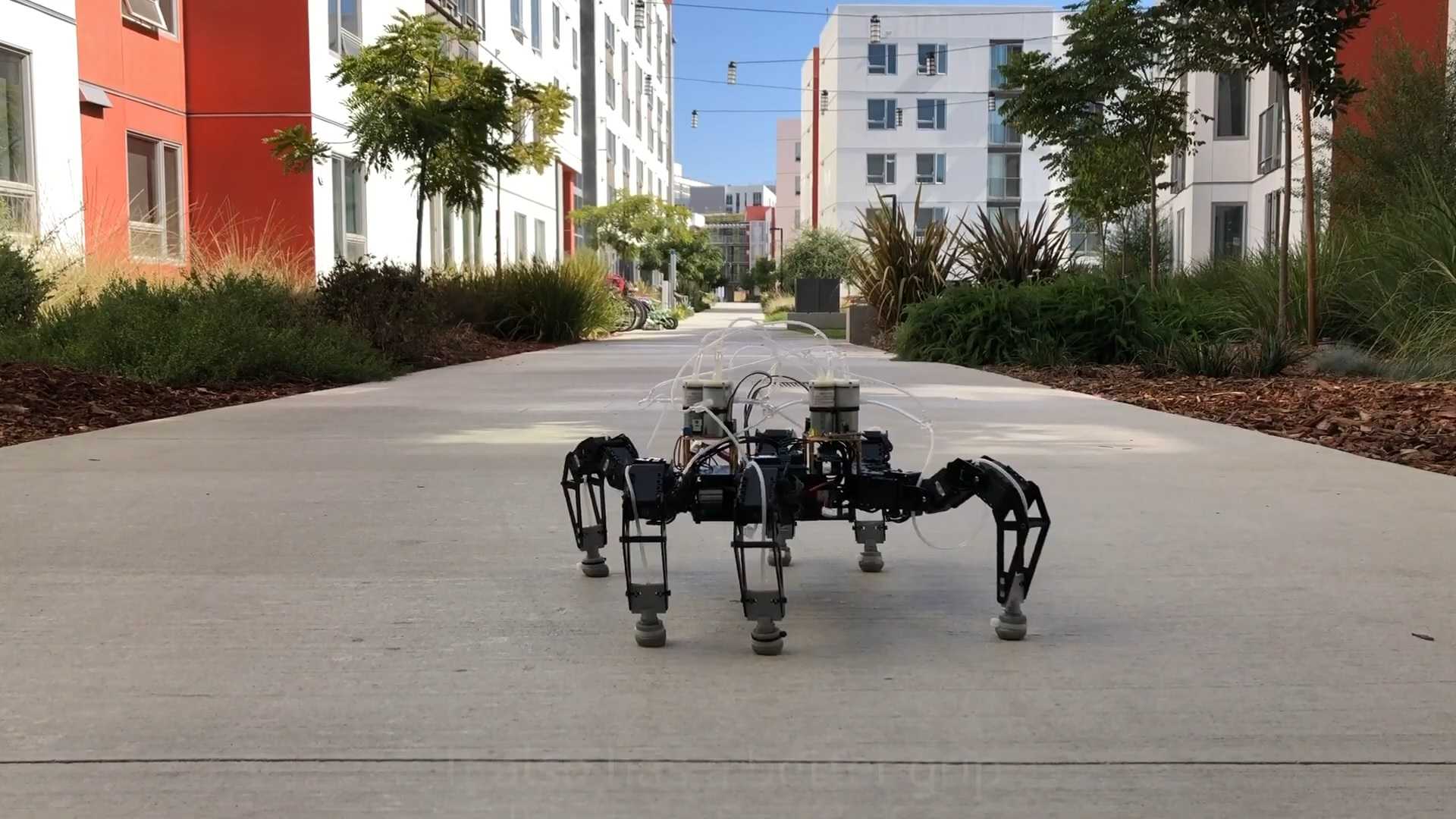 coffee flexible feet