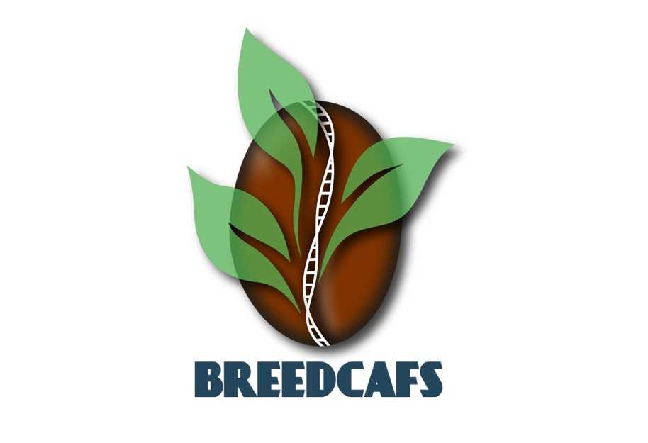 Cirad Breedcafs