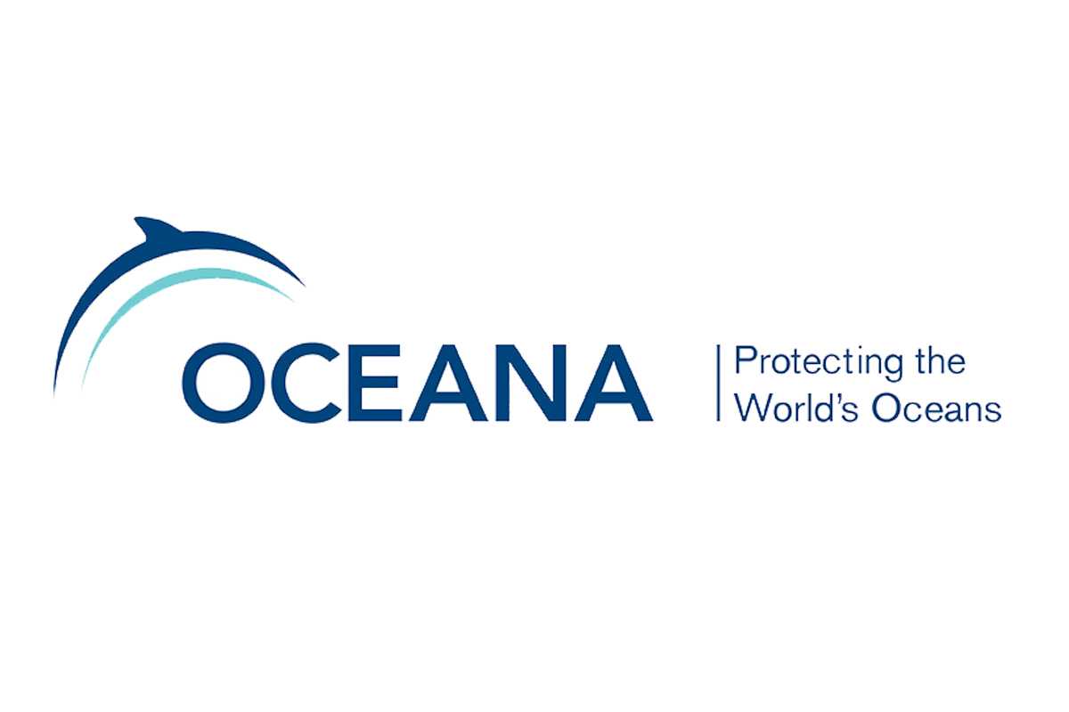 Oceana disposable coffee cups