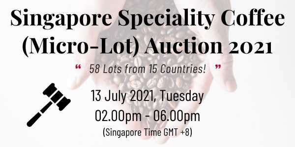 Singapore Auction