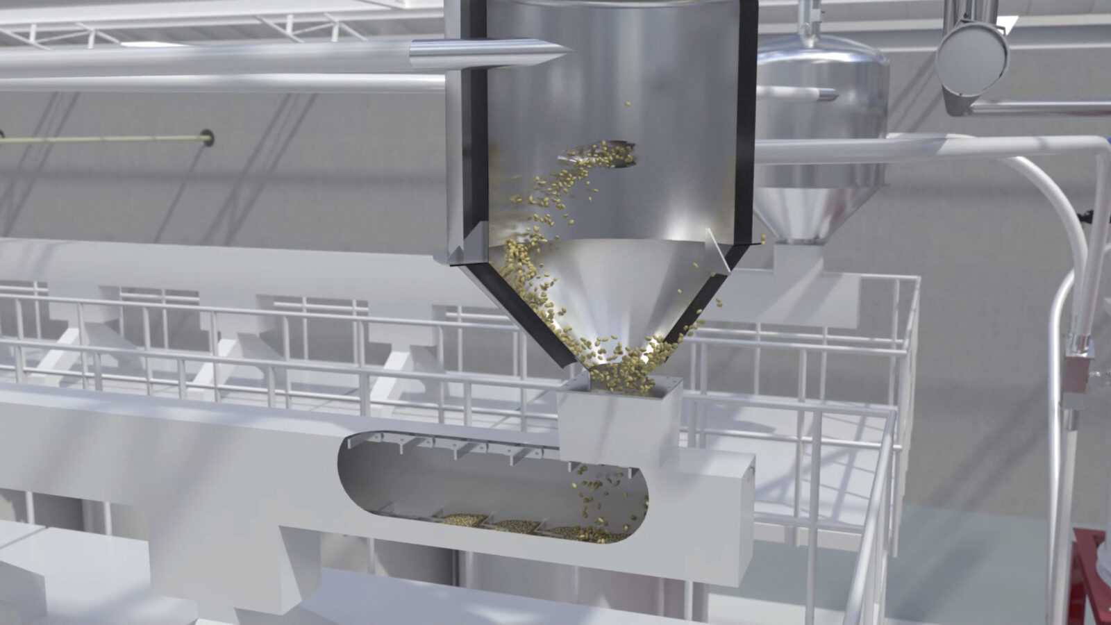 green coffee processing