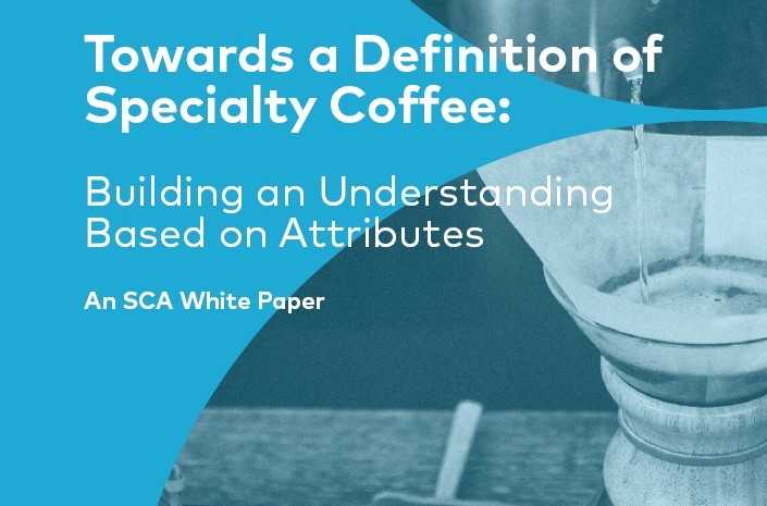 SCA White Paper