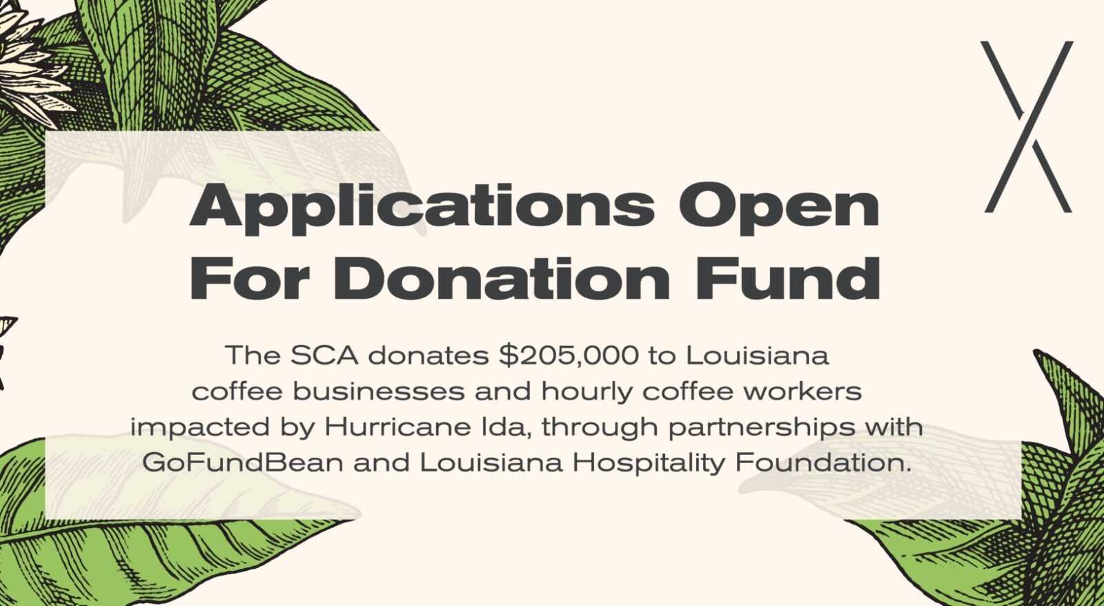 Louisiana coffee businesses