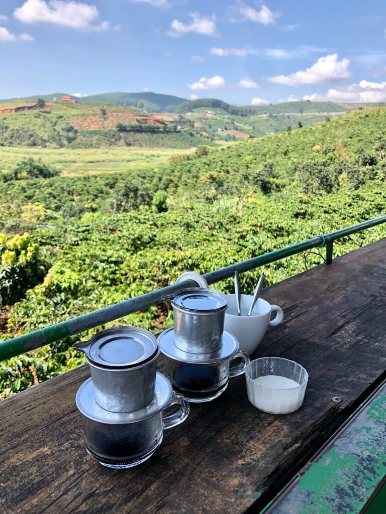 Vietnam's coffee plantations