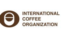 ICO Report: US tariff relief and extreme weather events in Asia shaped the market in November ICO report coffee exports robustas decent work Honduras