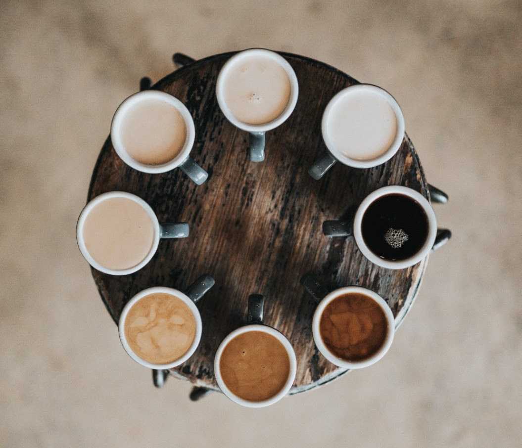 coffee knowledge hub