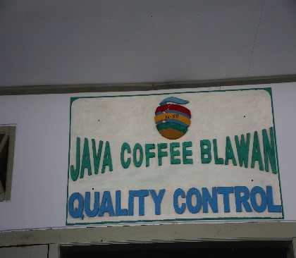 coffee indonesia
