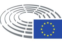 EU Parliament approves changes to postpone and simplify the EUDR, the rapporteur of the law Christine Schneider: “The heart of the regulation remains intact” EUDR deforestation