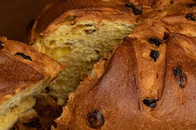 Panettone