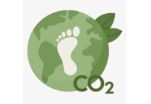 Tea Industry unveils custom typology in Cool Farm Platform, collaborative launch marks a milestone for carbon calculation and sustainability progress Tea Industry