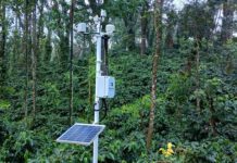 Kelachandra Coffee partners with Deepflow Technologies to deploy Hyperlocal Climate Intelligence in Chikmagalur Kelachandra Coffee