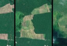 Airbus fosters Barry Callebaut`s efforts for a deforestation-free supply chain Airbus