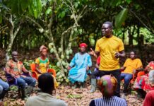 ofi releases its latest Cocoa Compass Impact Report and reaches its 2030 cocoa living income target ghana ofi