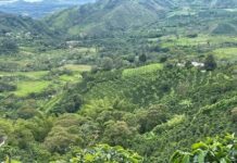 Suntory and Conservation International launch regenerative agriculture pilot program in Colombia’s coffee growing region Suntory